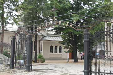 Aleksand.Lit.jpg