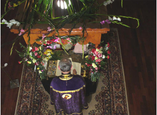b8.jpg