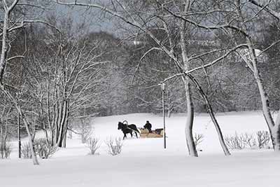 Sibir.zime.jpg